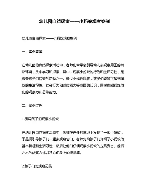 幼儿园自然探索——小蚂蚁观察案例