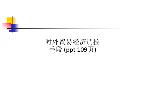 对外贸易经济调控手段 (ppt 109页)