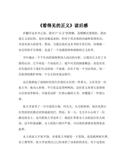 《看得见的正义》读后感
