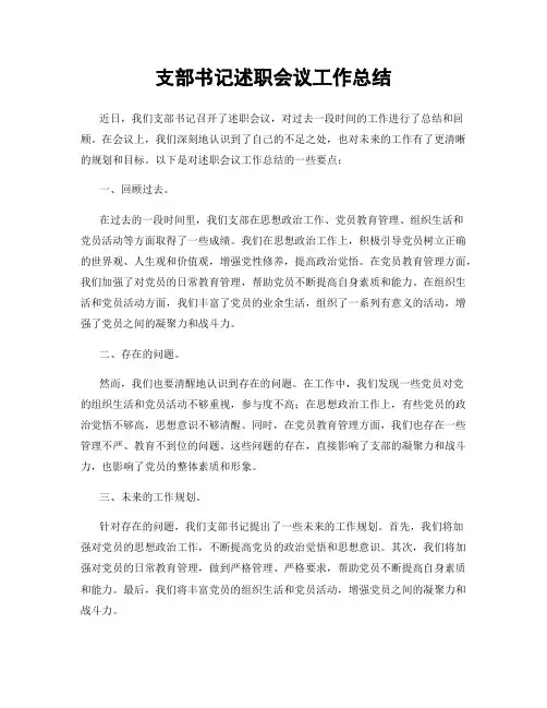 支部书记述职会议工作总结