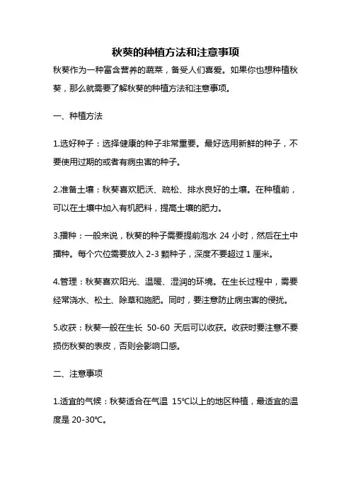 秋葵的种植方法和注意事项