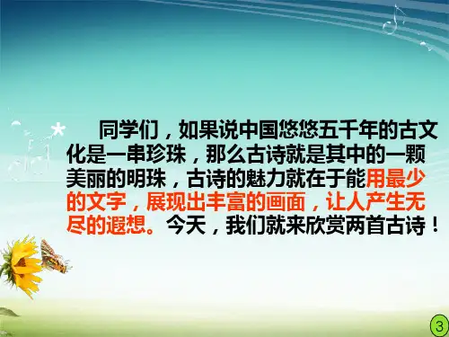 古诗两首《寻隐者不遇》《所见》