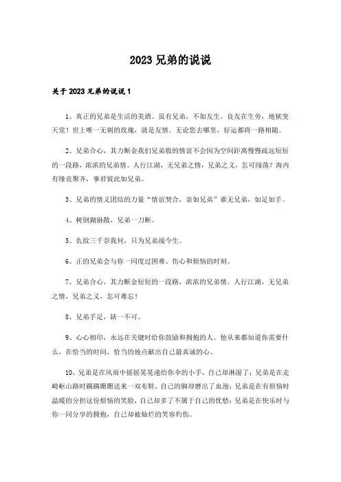 2023兄弟的说说