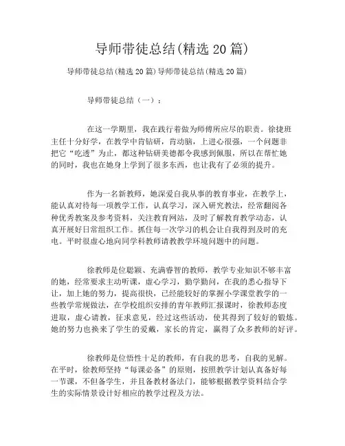导师带徒总结(精选20篇)
