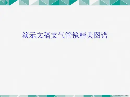 演示文稿支气管镜精美图谱