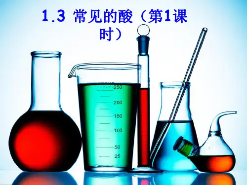 九年级上科学常见的酸ppt优秀课件浙教版