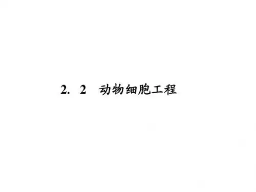 2.2动物细胞工程
