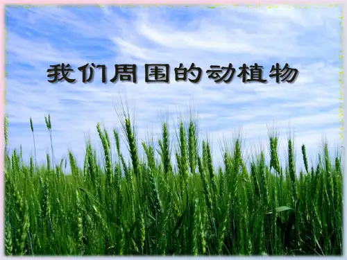 2021年《我们周围的动植物》PPT课件文档