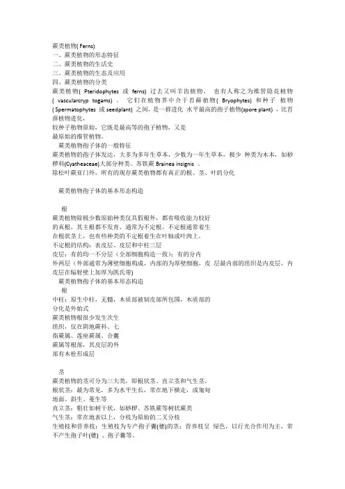 孢子植物学之蕨类植物复习资料