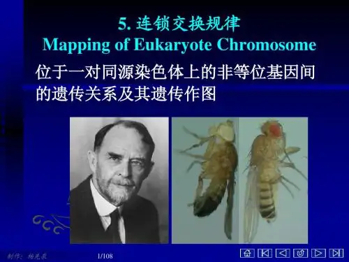 5---连锁交换规律