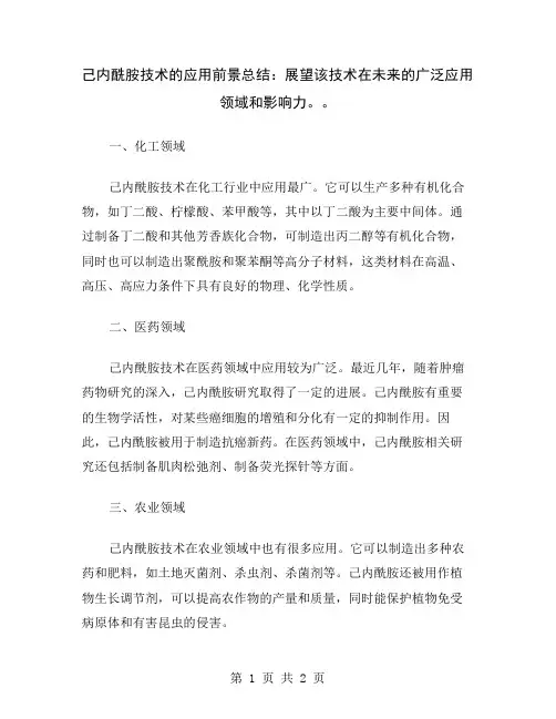 己内酰胺技术的应用前景总结：展望该技术在未来的广泛应用领域和影响力。