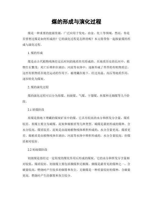 煤的形成与演化过程