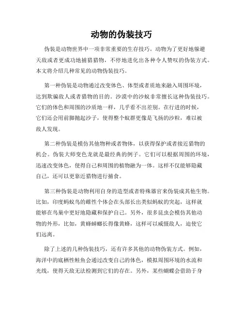 动物的伪装技巧