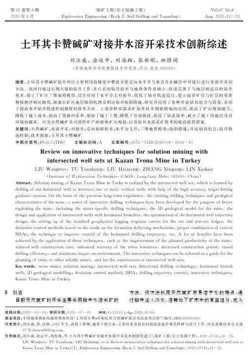 土耳其卡赞碱矿对接井水溶开采技术创新综述