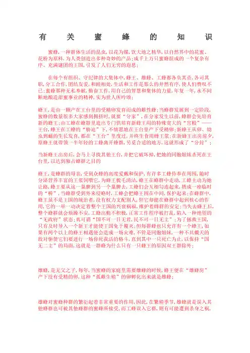 有关蜜蜂的知识