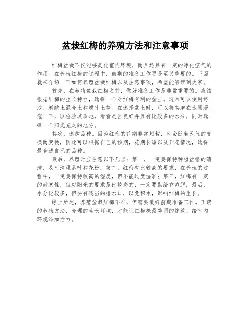盆栽红梅的养殖方法和注意事项