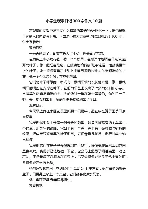 小学生观察日记300字作文10篇