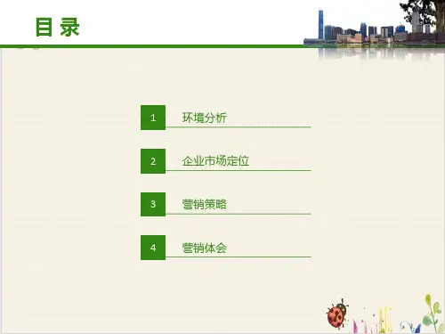 重庆美心洋人街市场营销分析PPT.