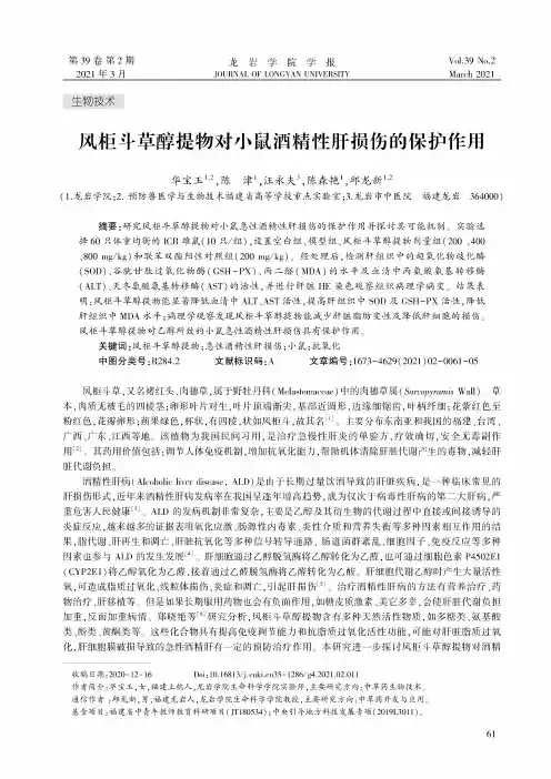 风柜斗草醇提物对小鼠酒精性肝损伤的保护作用