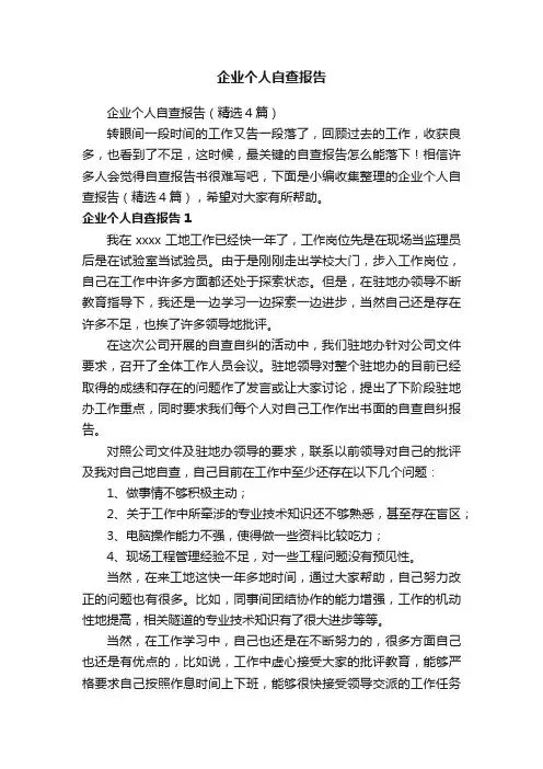 企业个人自查报告（精选4篇）