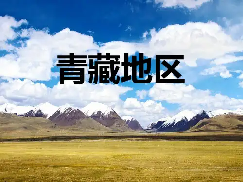 2021高考地理人教版一轮复习教学课件：青藏地区 
