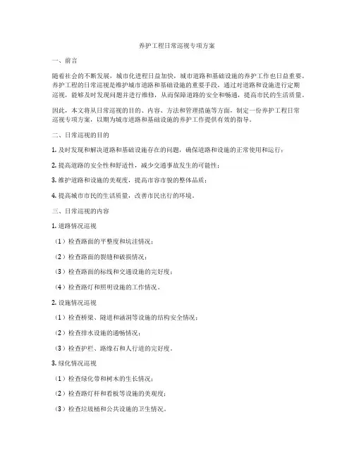 养护工程日常巡视专项方案