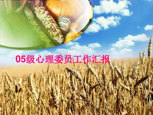 《心理工作汇报》PPT课件