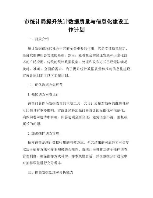 市统计局提升统计数据质量与信息化建设工作计划