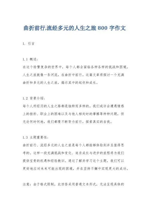 曲折前行,流经多元的人生之旅800字作文