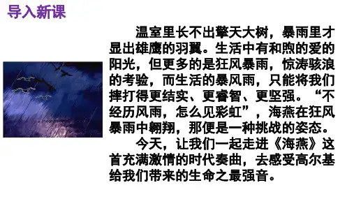 第4课《海燕》课件(共17张ppt)++2022-2023学年部编版语文九年级下册
