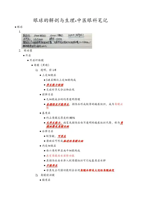 眼球的解剖与生理-中医眼科笔记