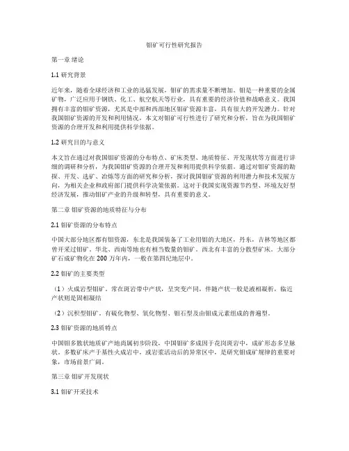 钼矿可行性研究报告