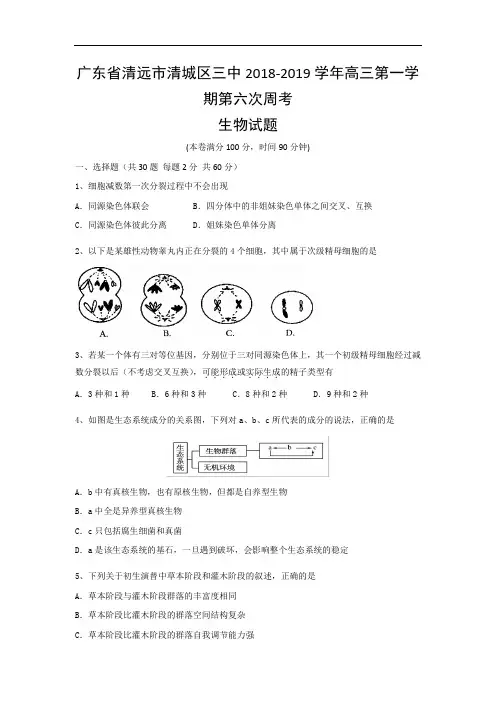 广东省清远市第三中学2018-2019学年高三上学期第六次周考生物试题 Word版含答案