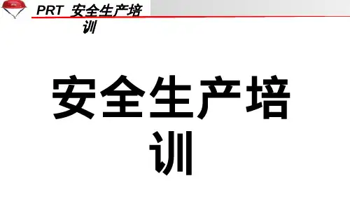 劳保用品培训.pptx
