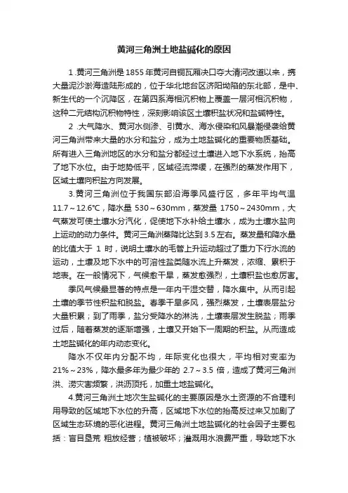 黄河三角洲土地盐碱化的原因