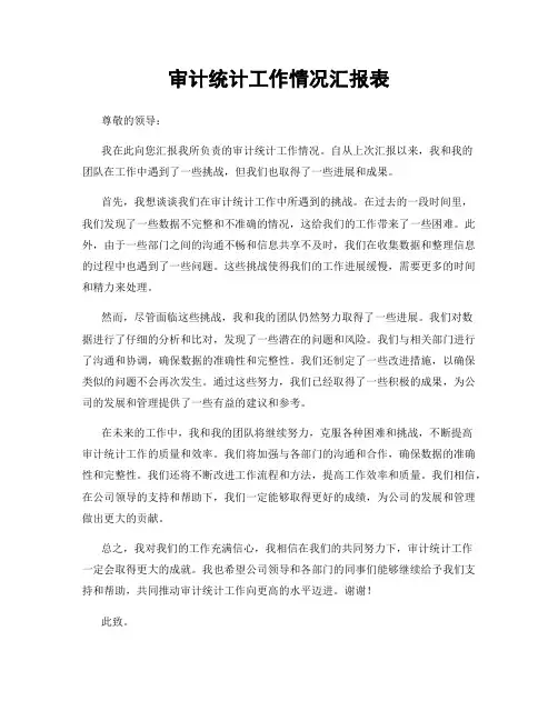 审计统计工作情况汇报表