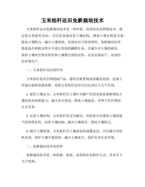 玉米秸秆还田免耕栽培技术