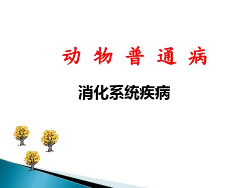 动物普通病-消化系统疾病