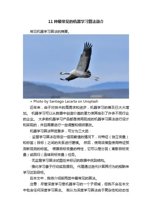 11种最常见的机器学习算法简介
