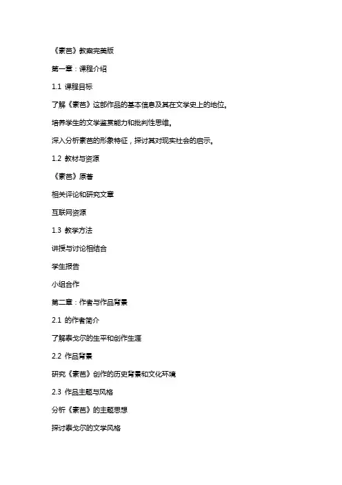 《素芭》教案完美版