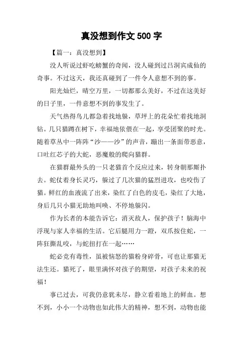 真没想到作文500字