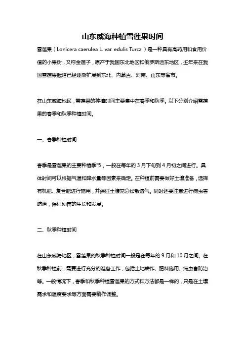 山东威海种植雪莲果时间