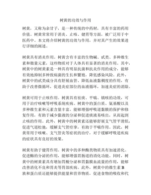 树黄的功效与作用