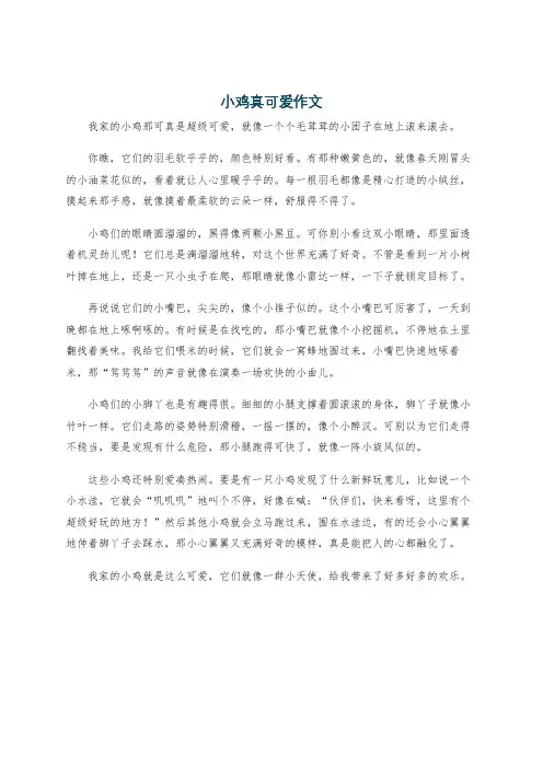 小鸡真可爱作文