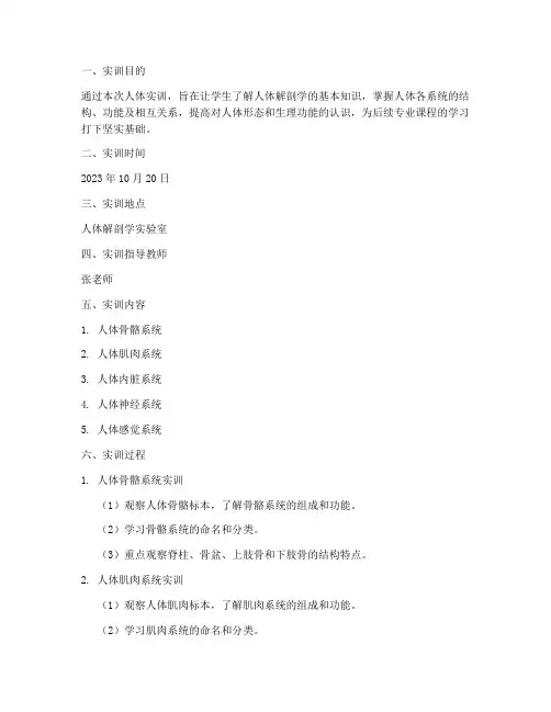 人体实训报告范文