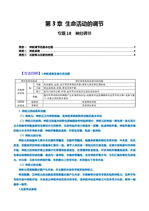 专题18 神经调节(原卷版+解析)