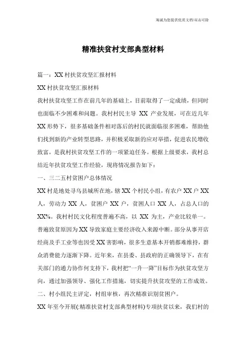 精准扶贫村支部典型材料