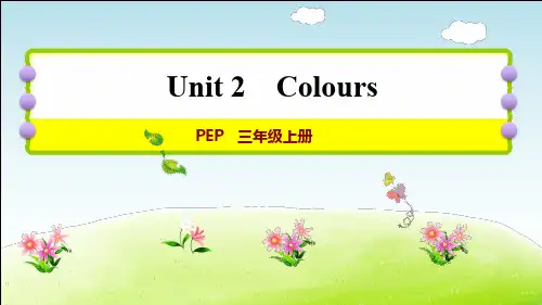 3上PEPUnit2课堂讲解+随堂练习
