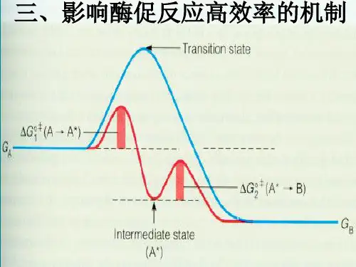 酶促反应的机制