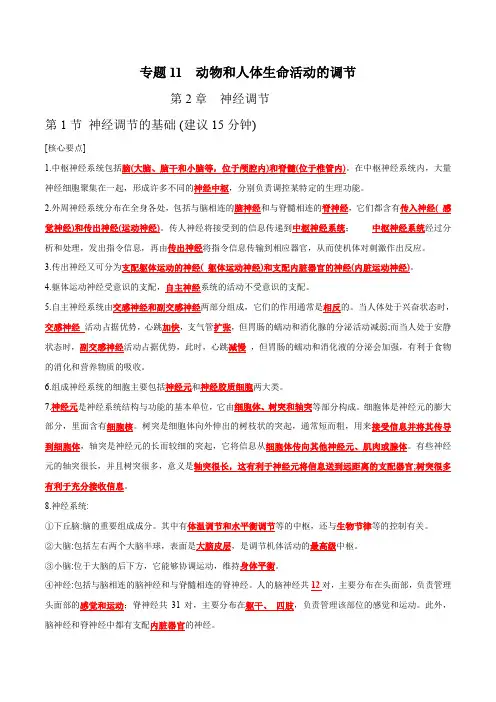 专题11动物和人体生命活动的调节-2023年高考生物复习核心要点必背知识清单(答案版)